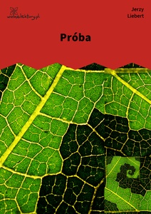 Liebert / Kolysanka Jodlowa / Proba
