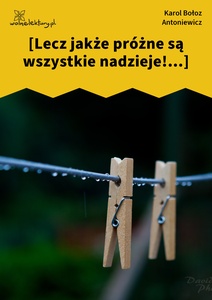 Antoniewicz, Sonety, Lecz jakże próżne są wszystkie nadzieje!...