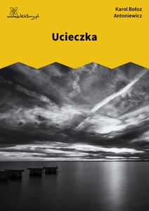 Antoniewicz, Sonety, Ucieczka