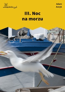 Asnyk, Z obcych stron, III. Noc na morzu