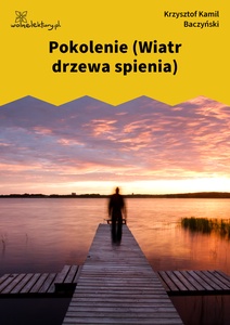 Baczyński, Pokolenie (Wiatr drzewa spienia)