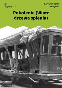 Baczyński, Pokolenie (Wiatr drzewa spienia)