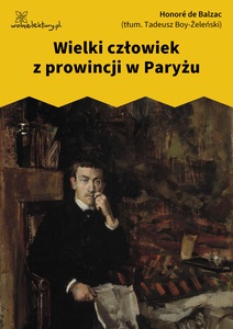 Balzac, Komedia ludzka, Stracone złudzenia, Wielki człowiek z prowincji w Paryżu