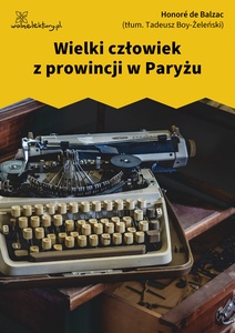 Balzac, Komedia ludzka, Stracone złudzenia, Wielki człowiek z prowincji w Paryżu