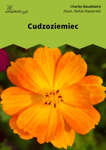 Baudelaire, Cudzoziemiec