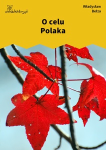 Bełza, O celu polaka