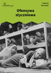 Borowski, Ofensywa styczniowa