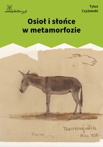 Czyżewski, Osioł i słońce w metamorfozie