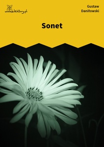 Daniłowski, Sonet