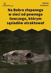 Drużbacka Elżbieta, Wiersze światowe, IV. Na Bobra w sieci