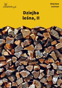 Leśmian, Dziejba leśna, II