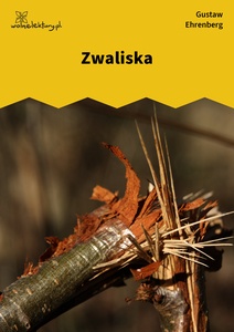 Ehrenberg, Dźwięki minionych lat, Zwaliska