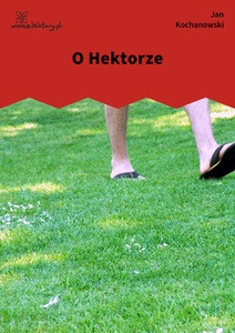 Kochanowski, Fraszki, Księgi trzecie, O Hektorze