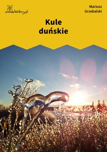 Grzebalski_Drugie_dotknięcie_Kule_duńskie