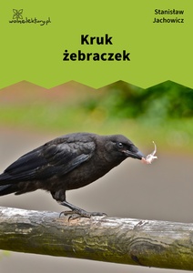 Jachowicz, Bajki i powiastki, Kruk żebraczek