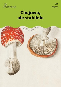 Jan Kapela, Chujowo, ale stabilnie