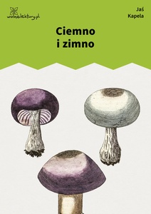 Jan Kapela, Ciemno i zimno
