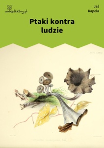 Jan Kapela, Ptaki kontra ludzie