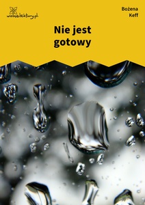 Keff_Nie_jest_gotowy_Nie_jest_gotowy