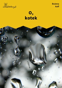Keff_Nie_jest_gotowy_O,_kotek