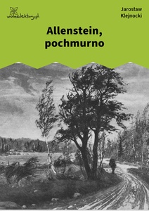 Klejnocki, Allenstein, pochmurno. Elegia na śmierć szczegółów