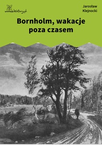 Klejnocki, Bornholm, wakacje poza czasem. Elegia na śmierć szczegółów