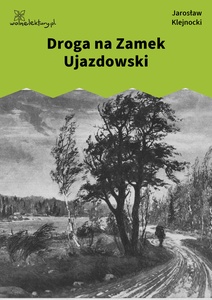 Klejnocki, Droga na Zamek Ujazdowski. Elegia na śmierć szczegółów