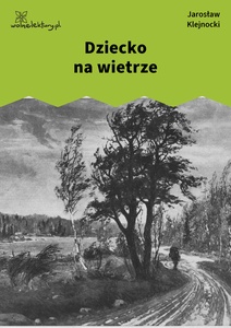 Klejnocki, Dziecko na wietrze. Elegia na śmierć szczegółów