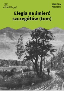 Klejnocki, Elegia na śmierć szczegółów (tom)