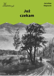 Klejnocki, Już czekam. Elegia na śmierć szczegółów