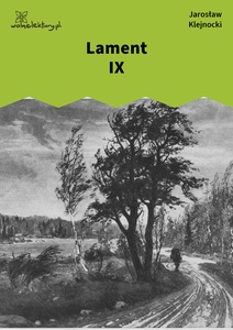 Klejnocki, Lament IX. Elegia na śmierć szczegółów