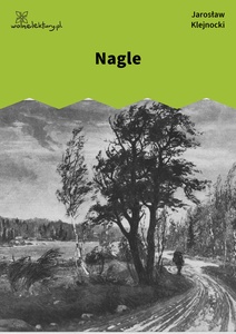 Klejnocki, Nagle. Elegia na śmierć szczegółów