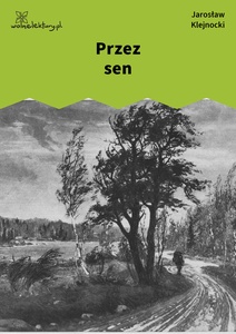 Klejnocki, Przez sen. Elegia na śmierć szczegółów