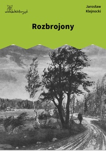 Klejnocki, Rozbrojony. Elegia na śmierć szczegółów