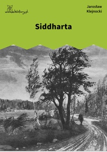 Klejnocki, Siddhartha. Elegia na śmierć szczegółów