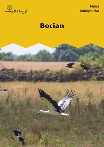 Konopnicka, Bocian