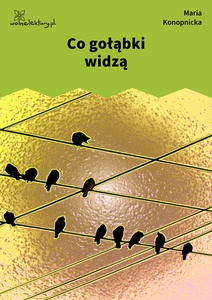 Konopnicka, Co gołąbki widzą