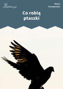 Konopnicka, Co robią ptaszki