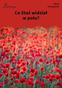 Konopnicka, Co Staś widział w polu?