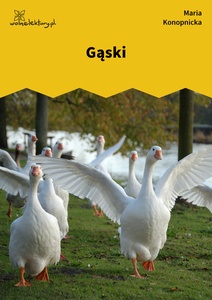 Konopnicka, Gąski
