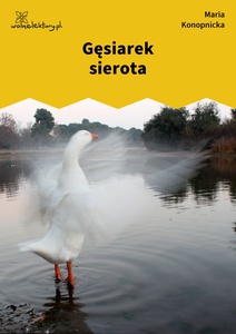 Konopnicka, Gęsiarek sierota