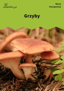 Konopnicka, Grzyby