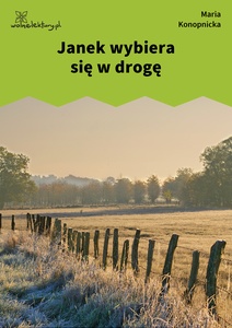 Konopnicka, Janek wybiera się w drogę