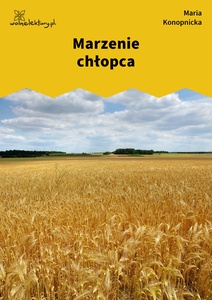 Konopnicka, Marzenie chłopca
