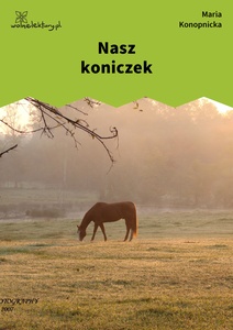 Konopnicka, Nasz koniczek