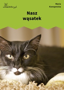 Konopnicka, Nasz wąsatek