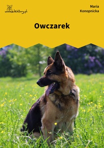 Konopnicka, Owczarek