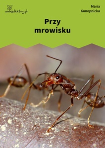 Konopnicka, Przy mrowisku