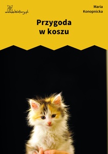 Konopnicka, Przygoda w koszu