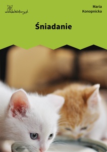 Konopnicka, Śniadanie
